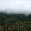 뽀나스PC 이미지