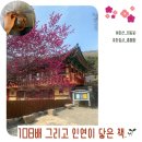 창원 의림사 삼층석탑 | 마산 의림사 홍매화 보러가 108배 그리고 인연이 닿은 책