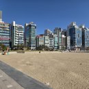 생선회 특화지역 이미지