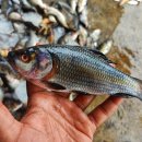 TM body complete 이미지