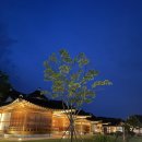 강릉 가성비 숙소 :: 오죽한옥마을 아이와 한옥 숙소 102,501호 후기