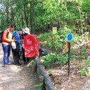 우면산5-5 이미지
