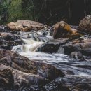 생명광장 이미지