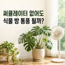 블루와이디 | 식물 방 선풍기 추천, 써큘레이터 없어도 통풍 가능한지 먼저 확인하세요