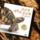 그림책이 궁금해 이미지