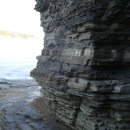 고성자연사박물관 이미지