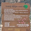 용현2교 이미지