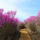 진달래약수터 이미지