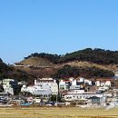 마금산온천 이미지