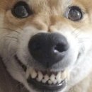 디저트39 충남내포혁신도시점 | 너가 그만 먹으라했잖아? 헬스장 이딴데 안나갔어