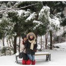 울릉도 알프스 이미지