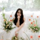 데이지스튜디오 이미지