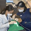 서울수미치과의원 이미지