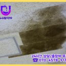 보라매동-20 이미지