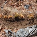 새 달성약국 이미지