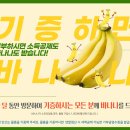 굿윌스토어함재방이역점 이미지