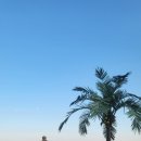 수렴항 화장실 이미지