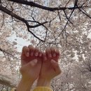 설레다 네일