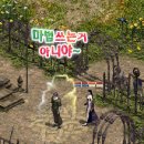디케이스킨