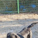 올림푸스원 이미지