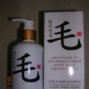 불로장생모