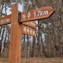 대우꿈나무어린이집 이미지