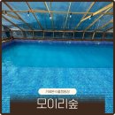 이리통닭 | 거제 아이와 갈만한곳 모이리숲 미온수풀캠핑장 내돈내산 솔직후기