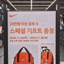 41 | 기흥 롯데 아울렛 나이키 세일 - 프리메트콘6, 페가수스 41 할인 후기 및 런닝화 사이즈팁