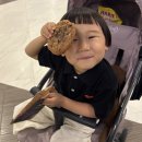 디포상사 | [캐나다 EP1.] 인천-토론토 대한항공 프레스티지｜토론토 피어슨공항｜더블트리 바이 힐튼 토론토...