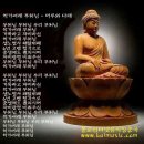 머루와다래 이미지