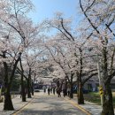 마이산 북부 관광안내소 이미지