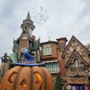 체리약국 | [여행] 회오리감자가 맛있는 경주월드 with 체리바구니