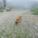 삼가-13 이미지