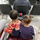 또또펜션 | 3살 아기와 3월의 제주도 여행