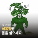 전포동 헬스장 찾는다면, 식목일에 시작해야 하는 이유