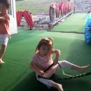 풍차수상스키장 네이버블로그