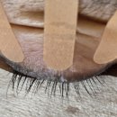 동헌로307번길 이미지