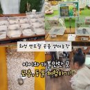 센트럴 곤충생태농장 | [ 화성 봉담 아이랑 가볼만한곳 ] 센트럴 곤충 생태농장 곤충,동물 체험하기 좋은 곳 추천!