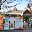 경상남도산림환경연구원 | 제1회 단풍축제 경상남도 수목원(경상남도 산림 환경 연구원) 가을 만끽, 반성 시장 맛집 들르다.