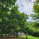 설마리 전투공원 | 경기)파주 무료 계곡 자릿세 없고 주차 가능한 설마리계곡 영국군설마리전투추모공원,범륜사 계곡