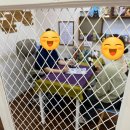 5디테일창원 | [창원 타로] 소름 돋는! 사주, 타로, 손금, 관상까지 완벽했던 '창원 타로마님' 솔직 후기!