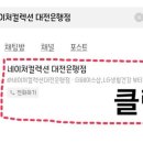 네이처컬렉션대전
