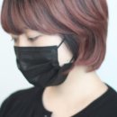 헤어카리스 이미지