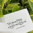 뿅뿅 이미지