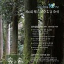 쉼 제주매일
