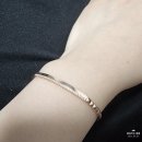 기성 비소 제13호 | 대전 종로귀금속백화점(내돈내산)