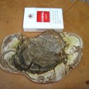 거포축산 이미지