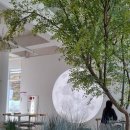 몽구 | [달 아래에서 커피 한 잔] 울산 대형 감성카페 몽구도원 후기
