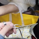 세븐일레븐 반포서래점 | 24.10.(2) 서울 반포한강공원 서래나루 한국통닭 치킨맛집 잠수교 야경 분수쇼