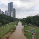 개포이레공인중개사사무소 이미지